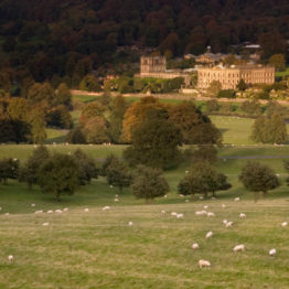 Chatsworth House and Stand Wood