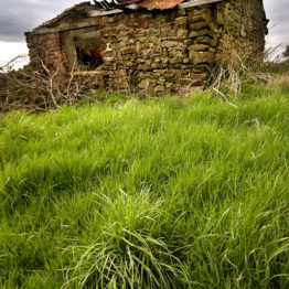Field barn, Longnor